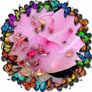 Meet your Posher, Najatt